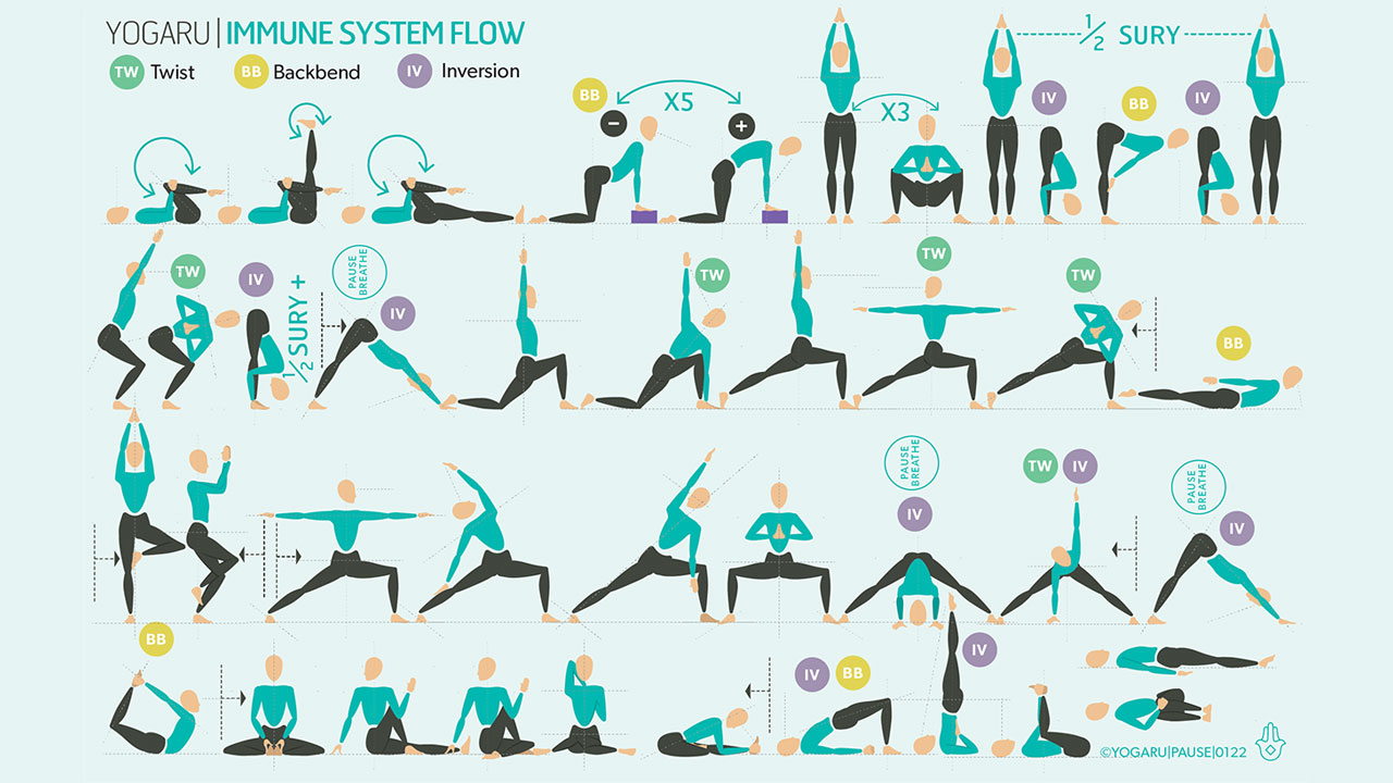 Yoga and the Immune System a simple flow