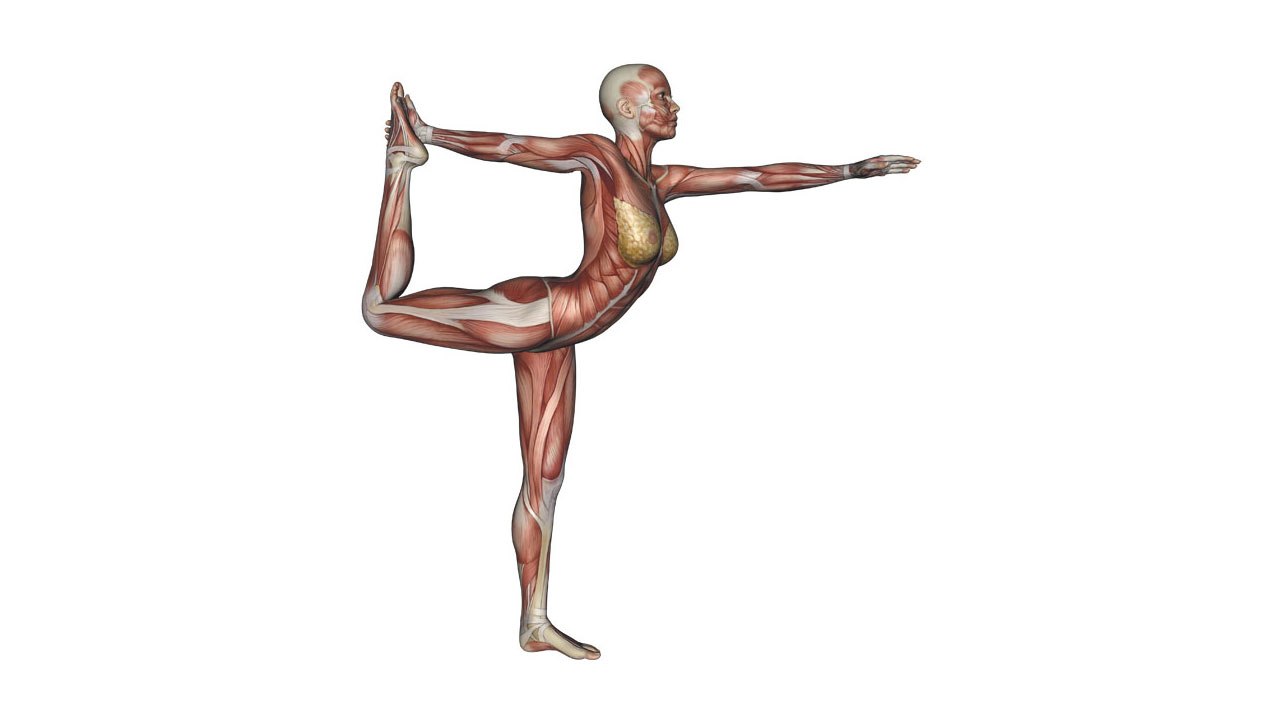 Natarajasana Lord of the Dance Pose or Dancers Pose – EasyFlexibility
