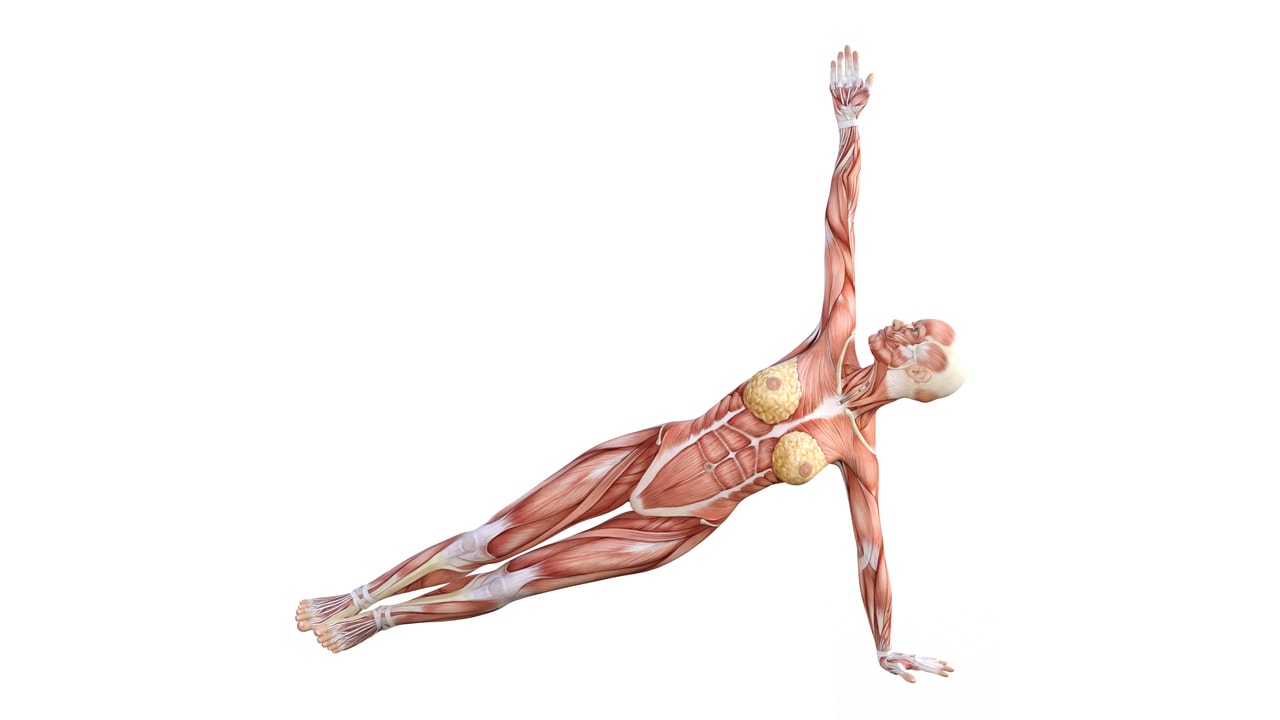 Side Plank Pose Vasisthasana Yoga Pose Stock Vector (Royalty Free)  1791493262 | Shutterstock