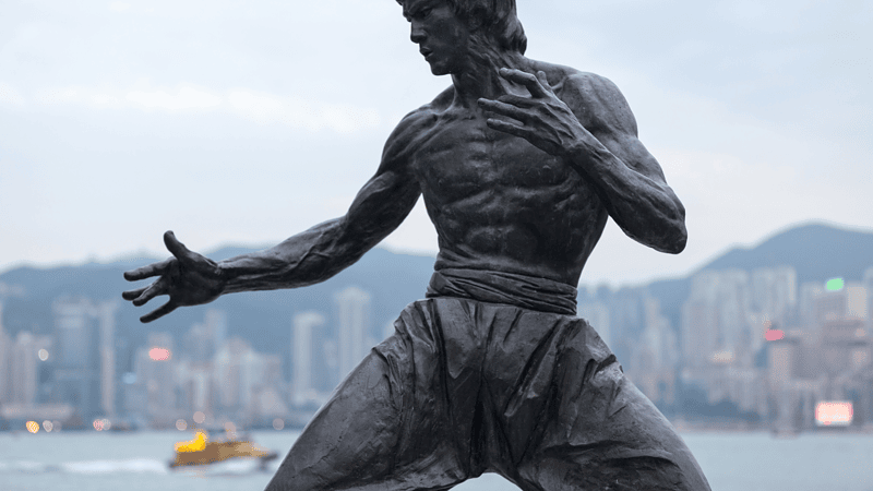 What is Yoga? Bruce Lee Can Help