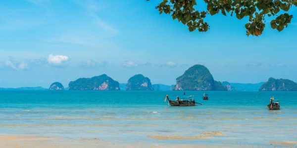 Yoga and Wellness in Krabi