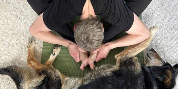 The Connection Between Pets and Yoga Mats