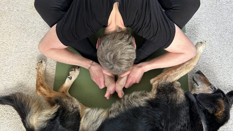 The Connection Between Pets and Yoga Mats