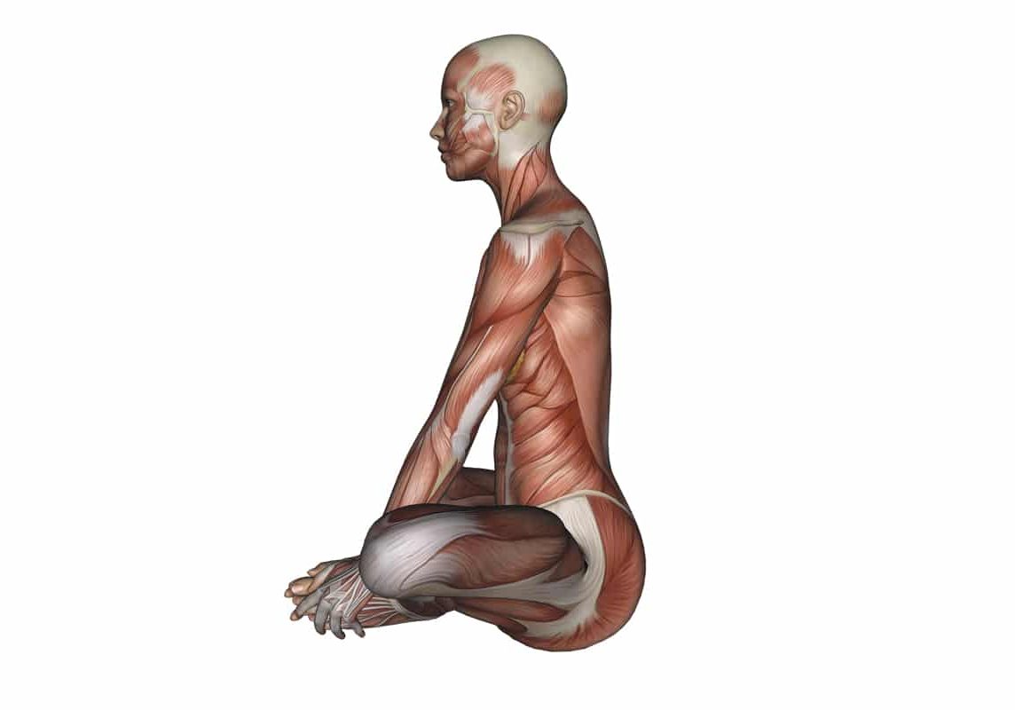 Protecting the knee in Pigeon Pose: Top illustrates engaging the muscles on  the outside of the knee. Botto… | Pigeon pose, Yoga anatomy, Piriformis  muscle stretches
