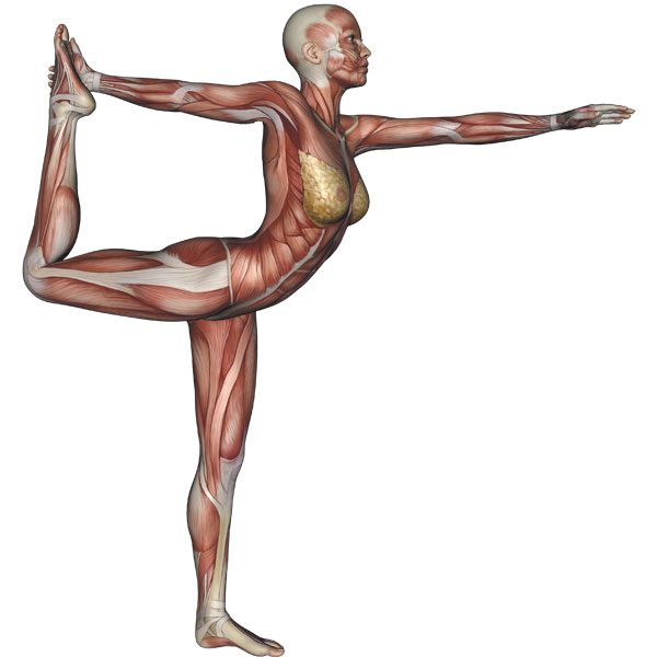 King Dancer Pose (Natarajasana) in Yoga