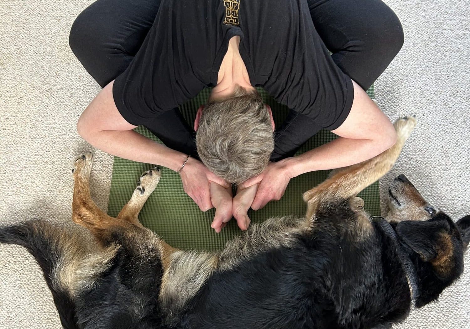 The Connection Between Pets and Yoga Mats