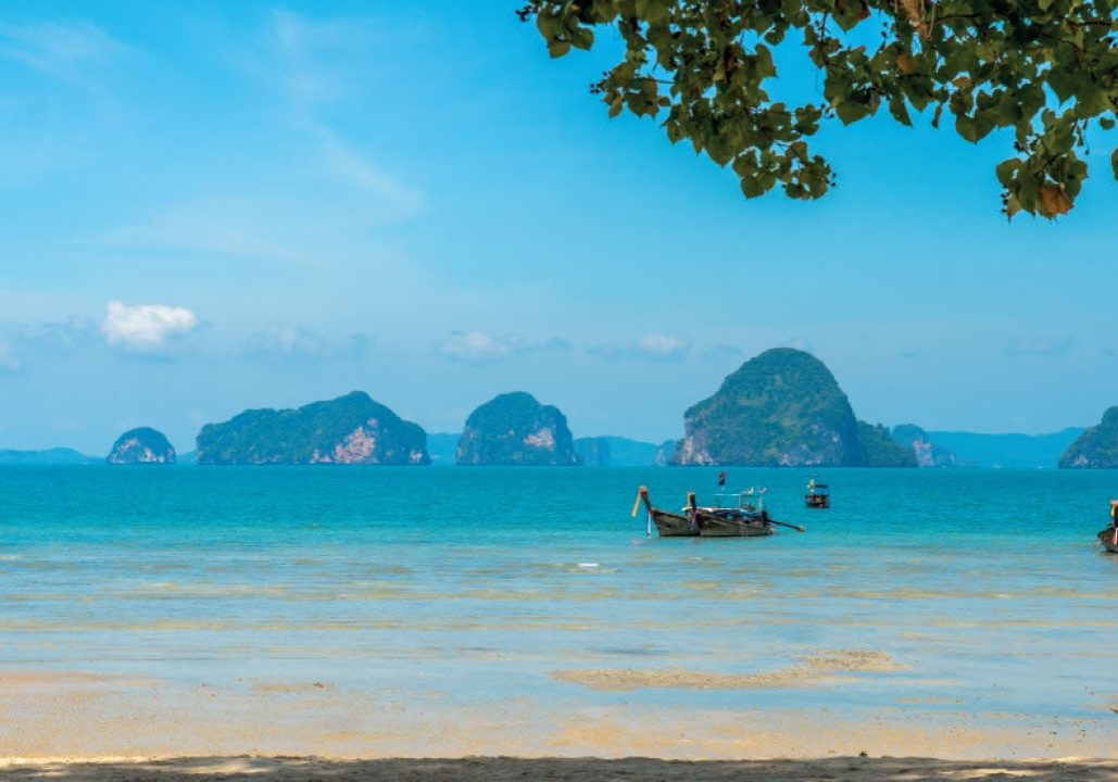 Yoga and Wellness in Krabi